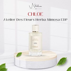 Atelier Des Fleurs Herba Mimosa EDP