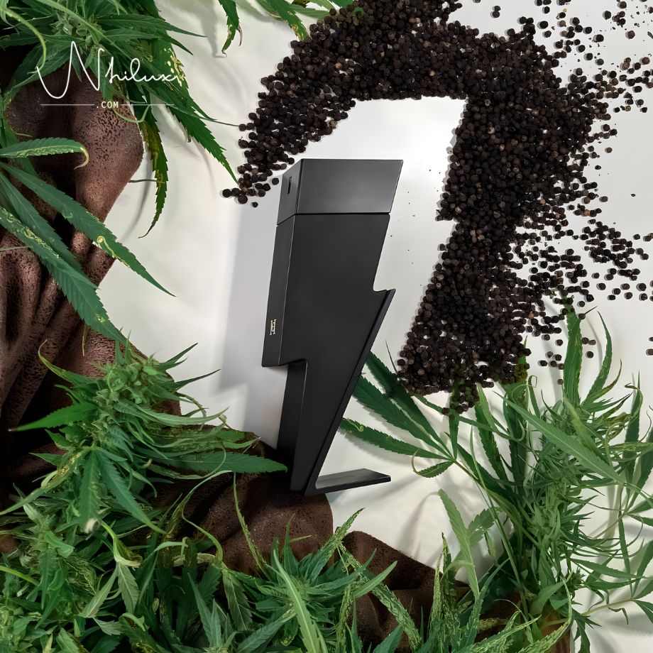 bad-boy-le-parfum-edp