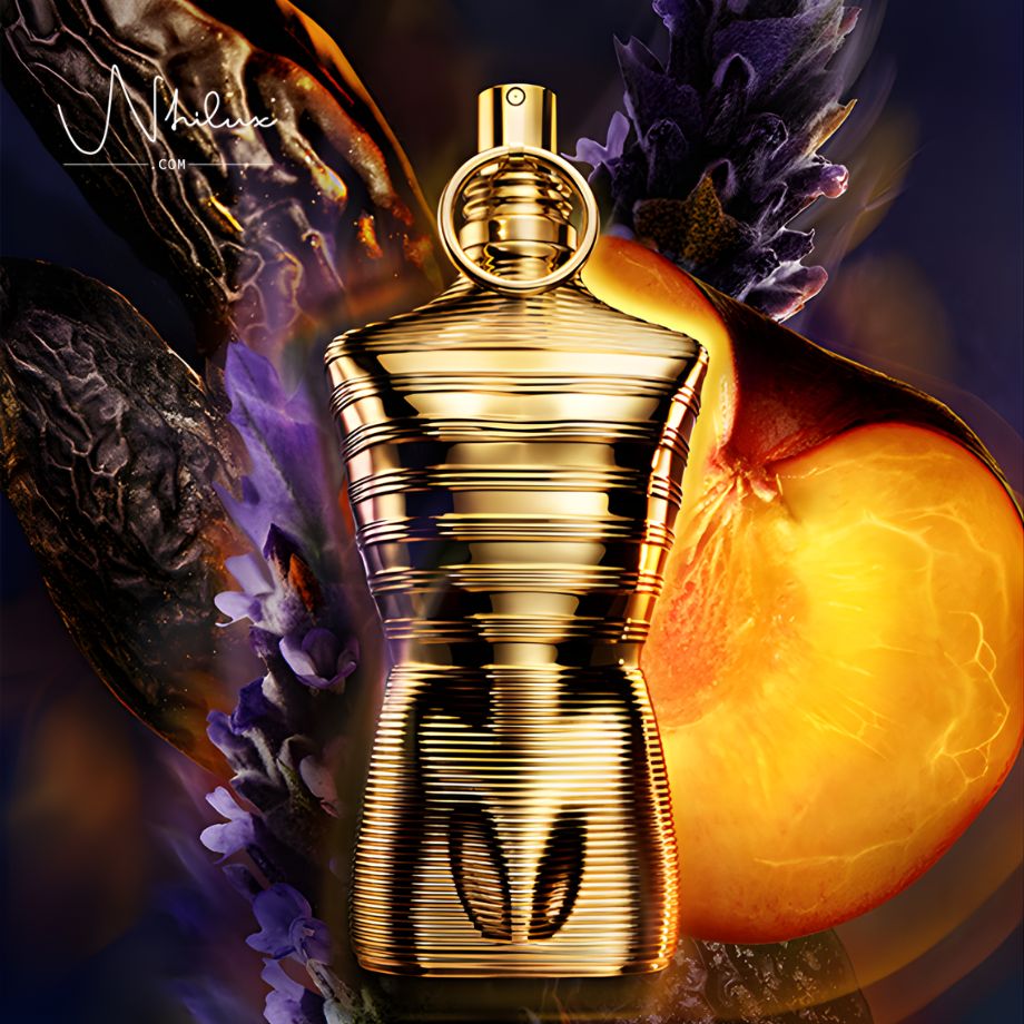 le-male-elixir-absolu-parfum-intense