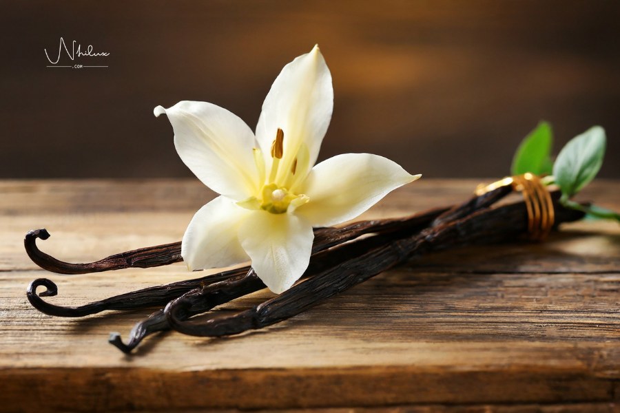 huyen-thoai-huong-thom-ngot-ngao-vanila