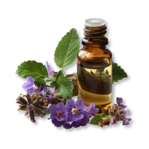 dau-hoac-huong-khong-mau-colorless-patchouli-oil