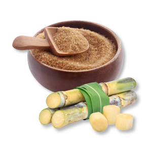 duong-mia-sugar-cane