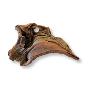 go-exotic-exotic-wood