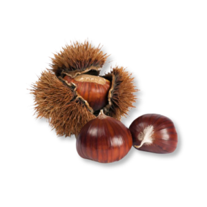 hat-de-chestnut