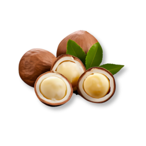 huong-mac-ca-macadamia