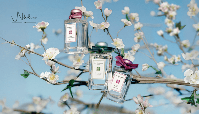 jo-malone-collection