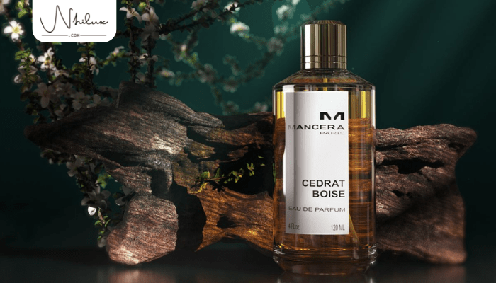 mancera-cedrat-boise-edp