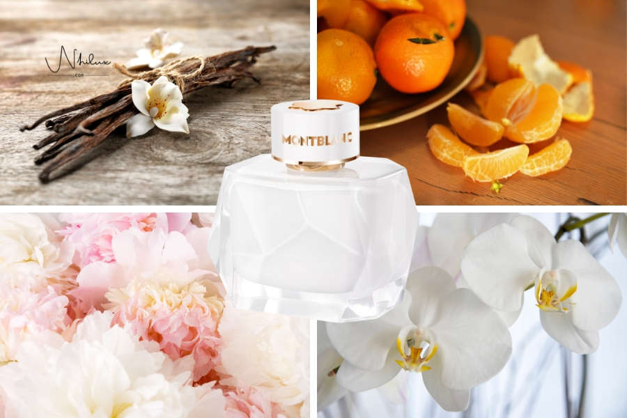 do-luu-huong-toa-huong-cua-montblanc-signature