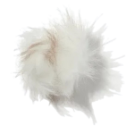 Xạ hương