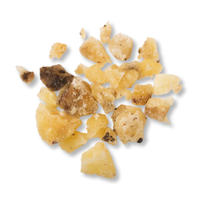 nhua-elemi-elemi-resin