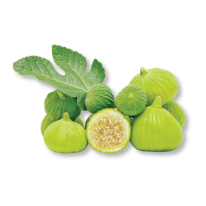 qua-va-xanh-green-fig