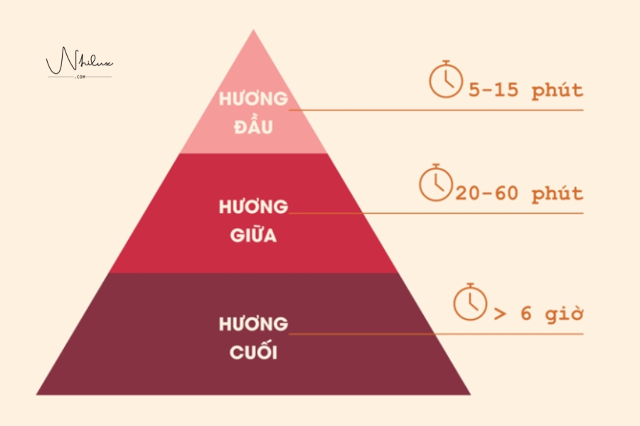 tang-huong-la-gi