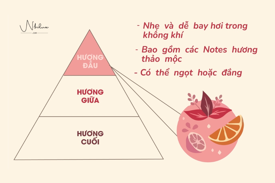 tang-huong-dau
