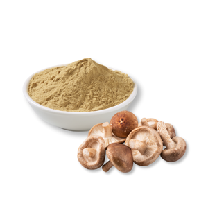 tinh-chat-nam-mushroom-extract