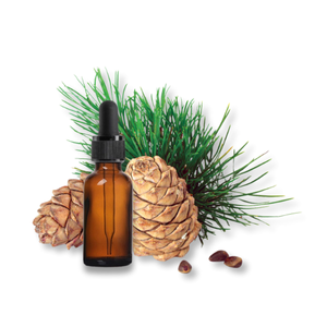 tinh-dau-go-tuyet-tung-cedarwood-oil