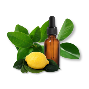 tinh-dau-la-chanh-lemon-leaf-oil