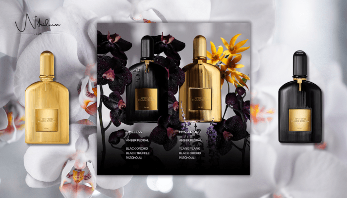 tom-ford-black-orchid