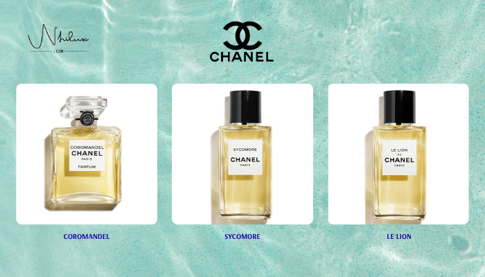top-chanel-niche