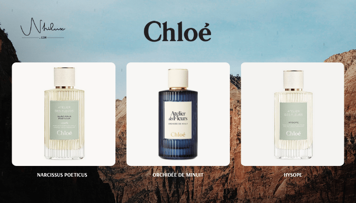 top-chloe-niche