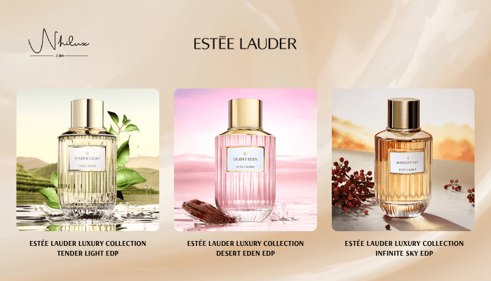 top-estee-lauder-uni