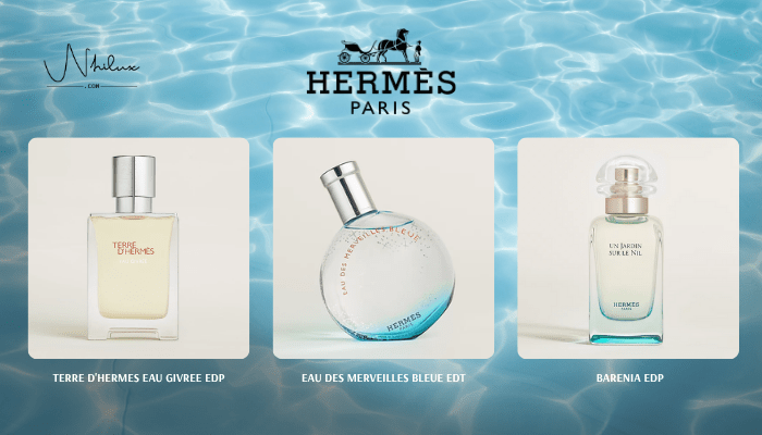 top-hermes-niche