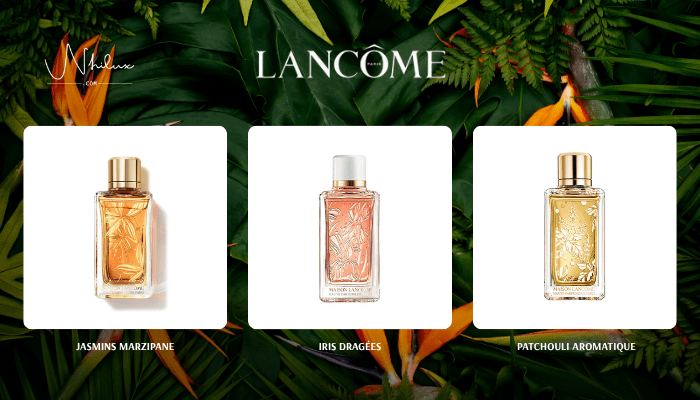 top-lancome-niche