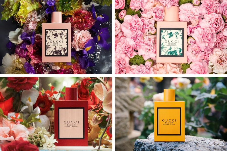 gioi-thieu-tong-quan-ve-gucci-bloom