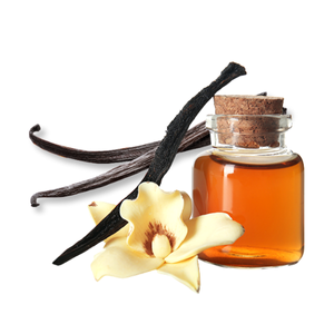 vani-nguyen-chat-vanilla-absolute