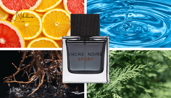 encre-noire-sport