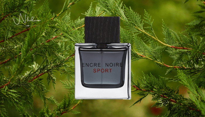 encre-noire-sport
