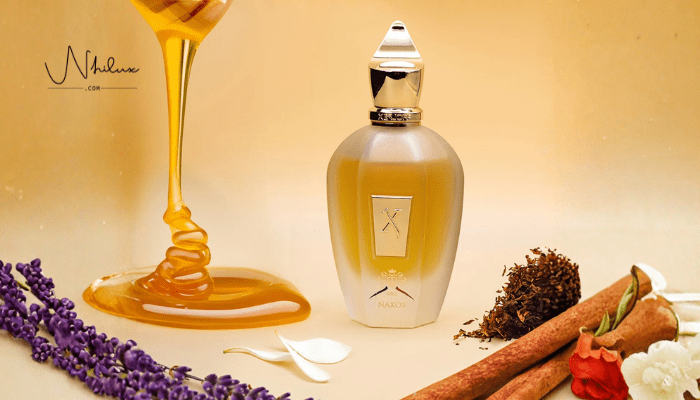 mui-huong-am-ap-cua-nam-cho-dip-le-hoi-cuoi-nam-xerjoff-naxos