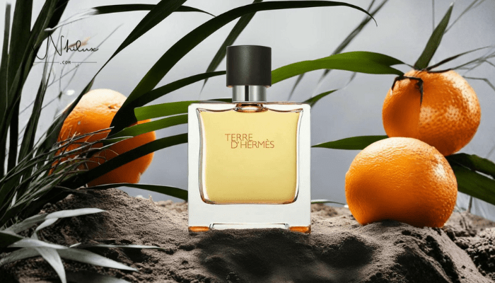 nuoc-hoa-nam-moi-quy-ong-nen-so-huu-hermes-terre-d-hermes